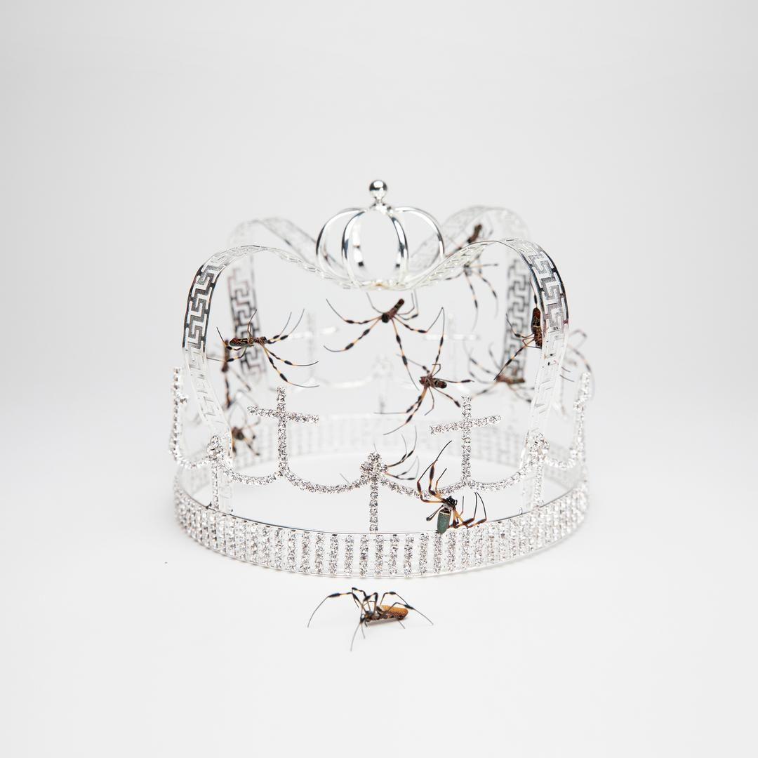 1080x1080 Free download you should see me in a crown by Billie Eilish Pandora [1080x1080] for your Desktop, Mobile & Tablet. Explore Billie Eilish You Should See Me In A Crown