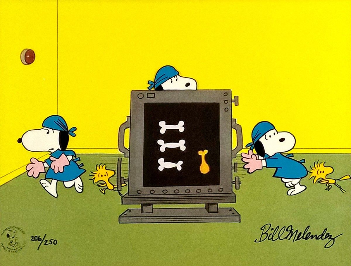1200x909 Dr. Snoopy?