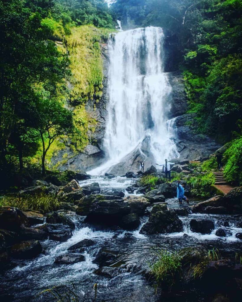 819x1024 Top Places to Visit in Chikmagalur. Scenic Spots & Nature Escapes