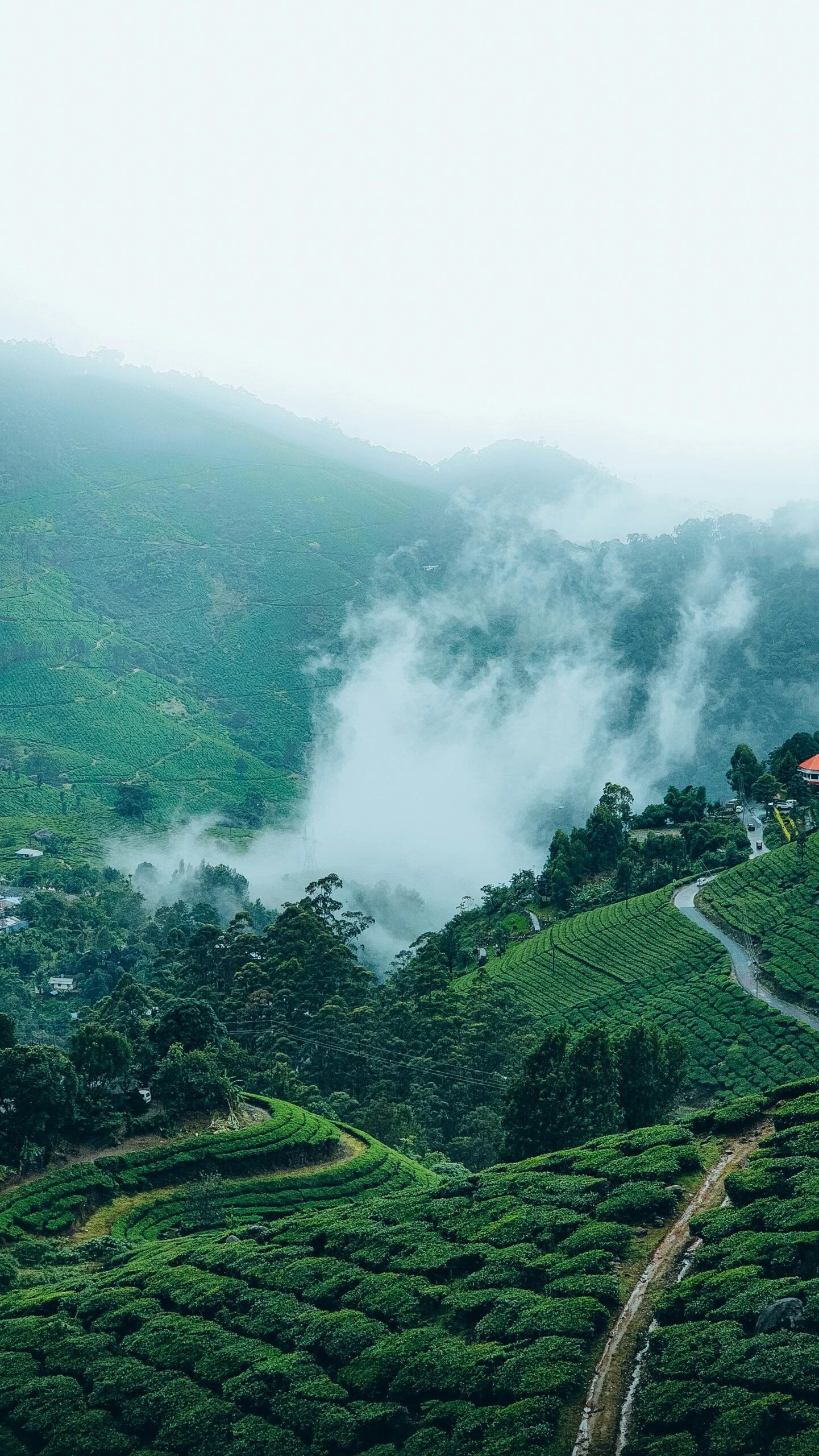 1441x2560 Explore Chikmagalur: Best Places to Visit