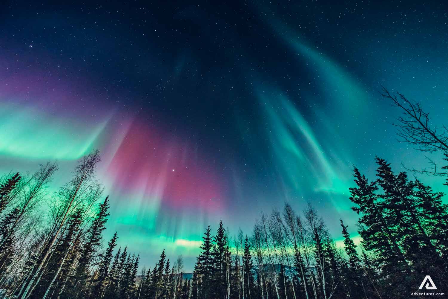 1500x1000 Top Things to Do in Nunavut