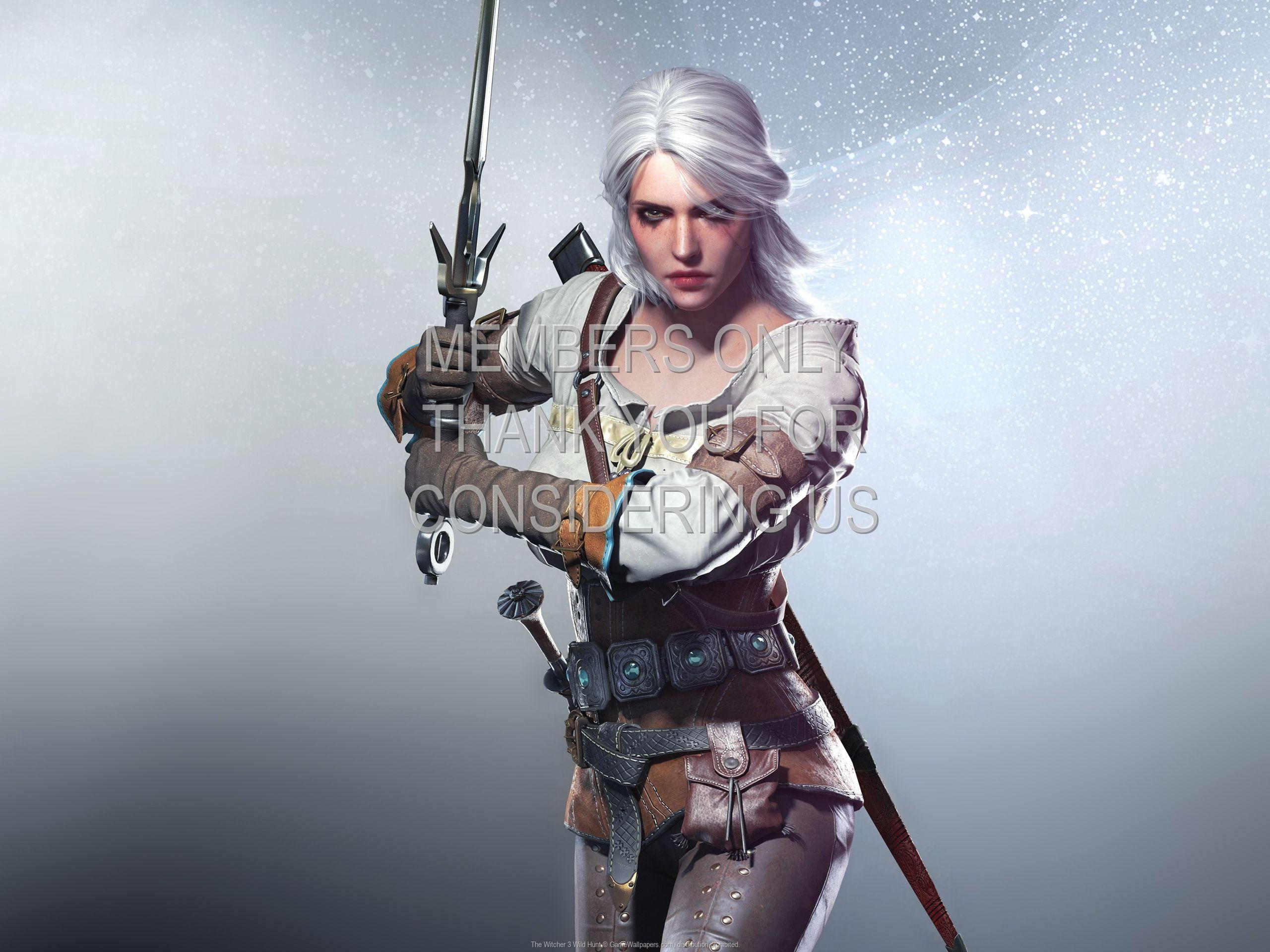 2560x1920 The Witcher 3: Wild Hunt wallpaper 17 1920x1080