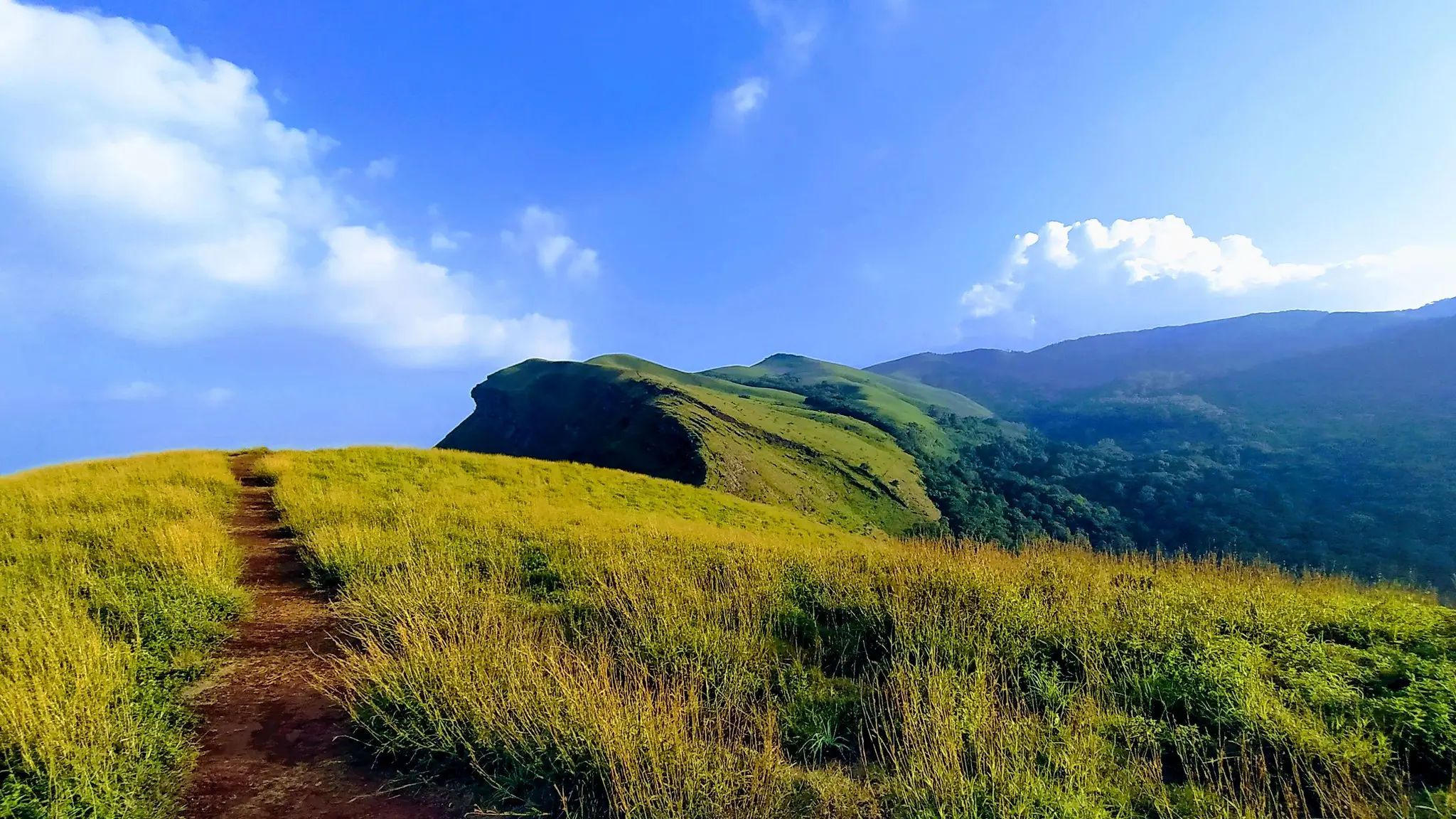 2048x1152 Experience the Bliss and Pictureque Splendor of Chikmagalur