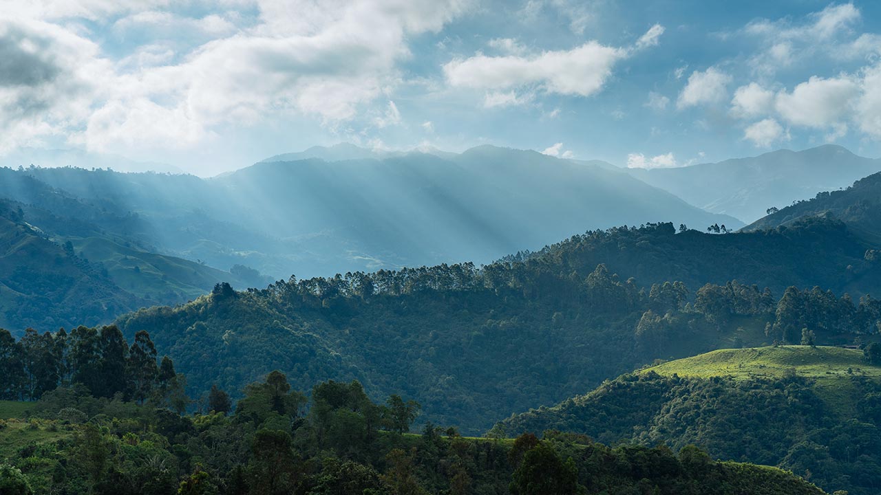 1280x720 Places to Visit in Chikmagalur Grove Resort