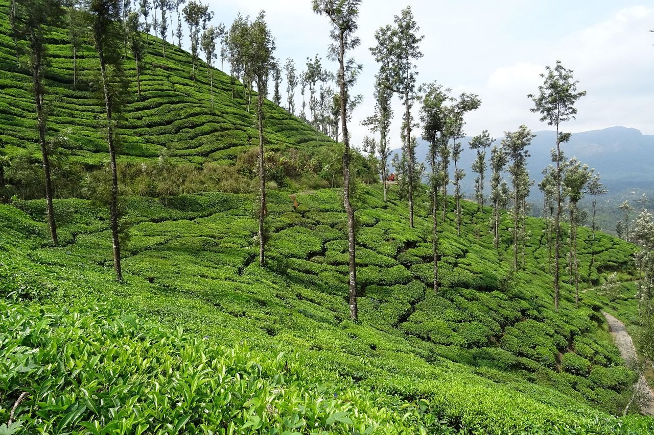 1280x853 Free Kelagur & Chikmagalur Image