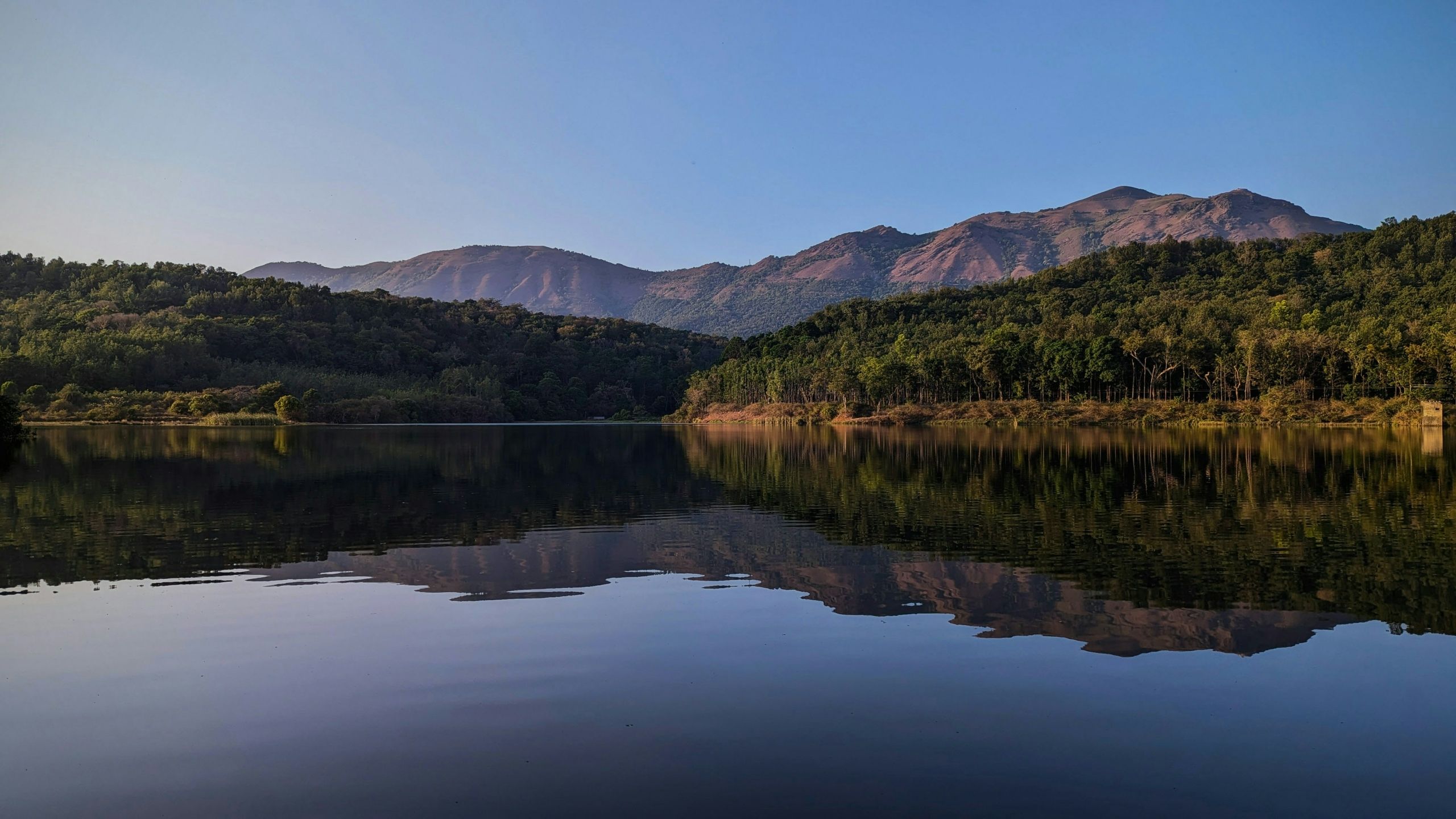 2560x1440 Ultimate Chikmagalur Experience Guide