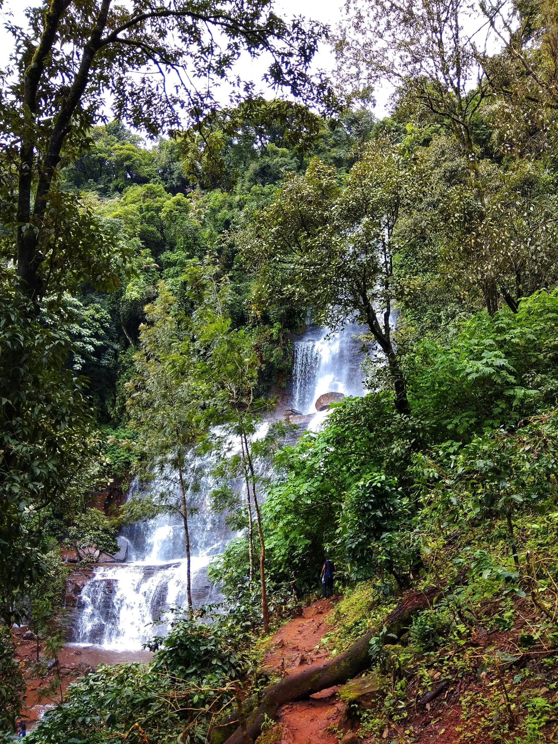 1836x2448 Visit Chikkamagaluru: 2025 Travel Guide for Chikkamagaluru, Karnataka