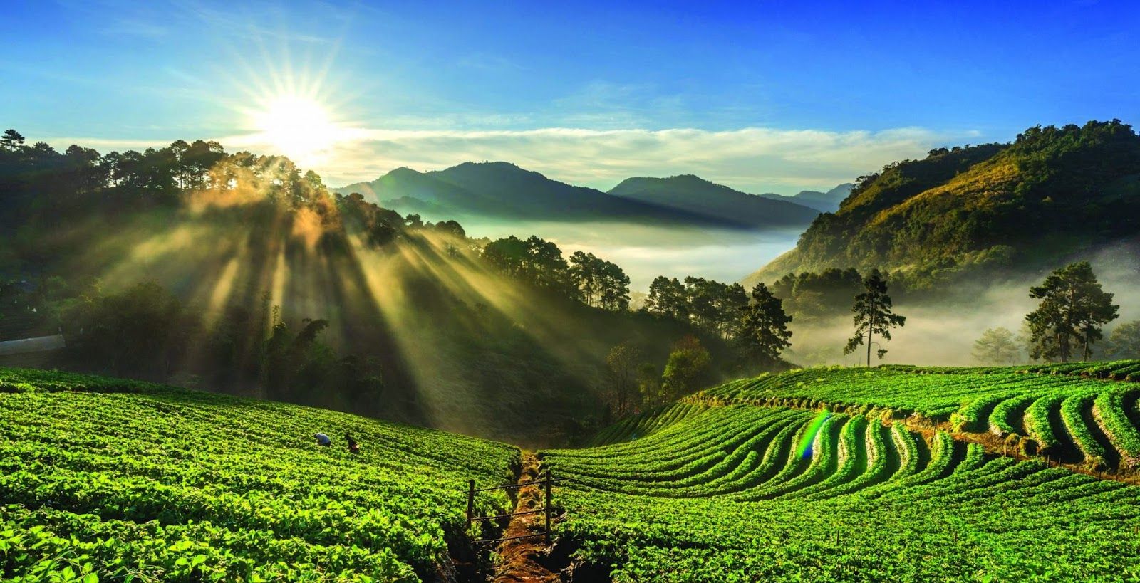 1600x819 Best Things To Do In Chikmagalur In 2024