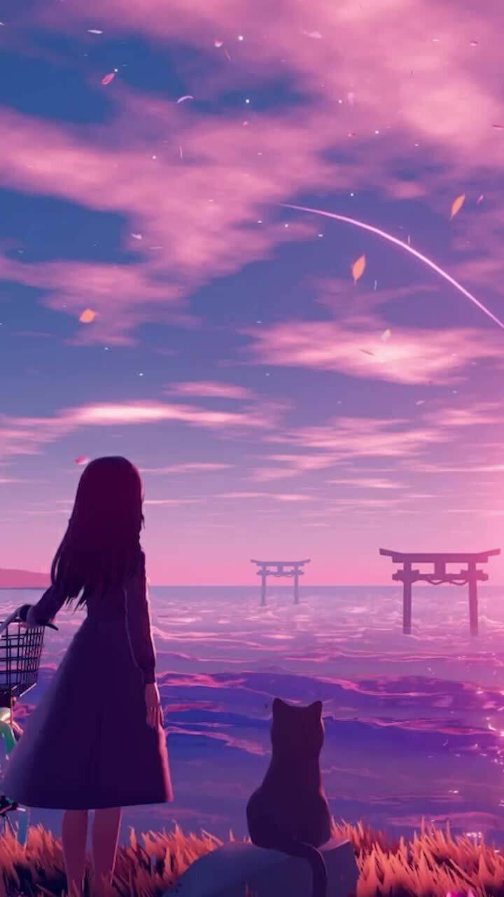 720x1280 Anime Pink Sky Sunset Girl With Cat Cute Wallpaper For Google Android