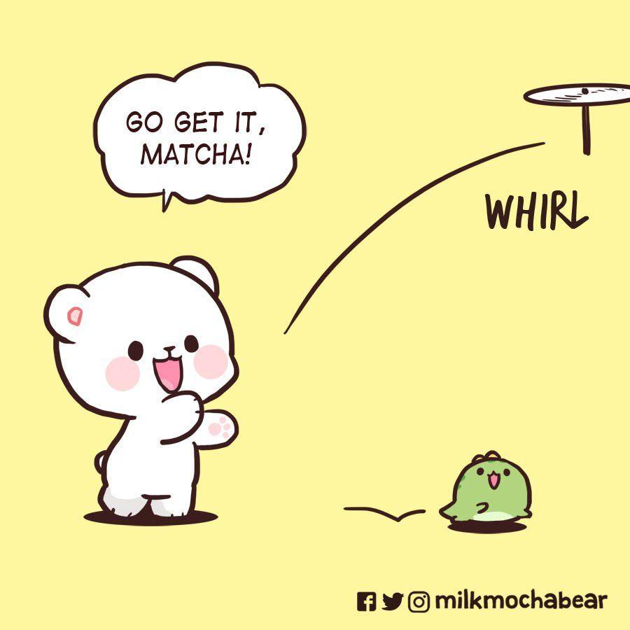 900x900 Mocha And Milk Bears