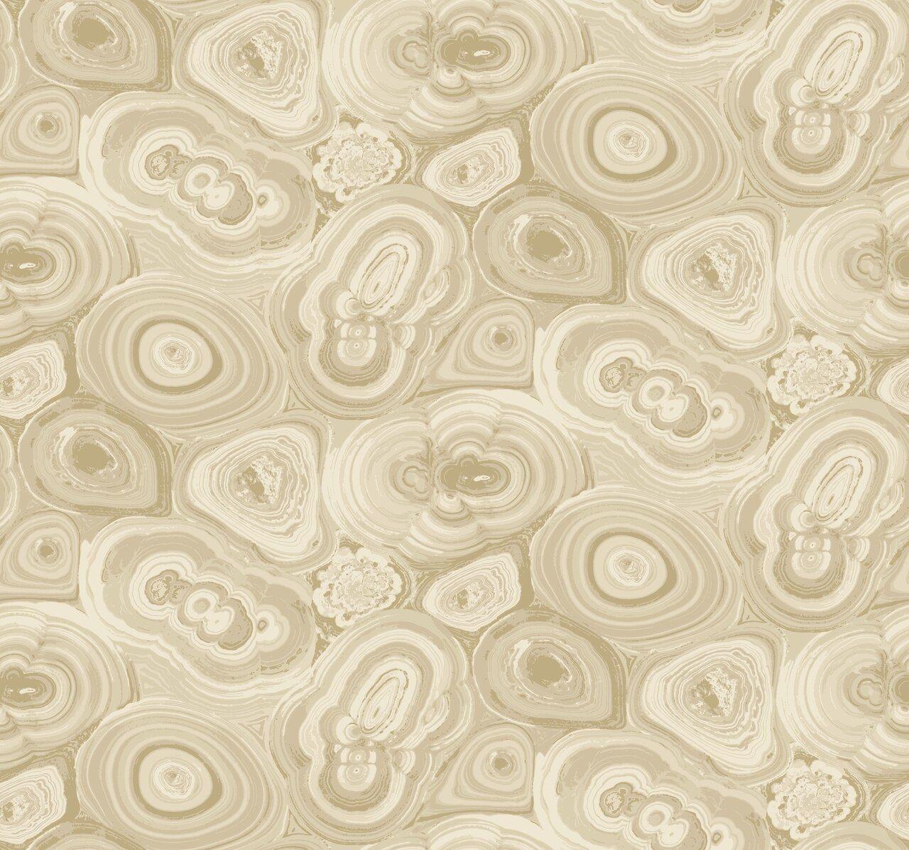 1280x1197 Milk And Mocha Bear