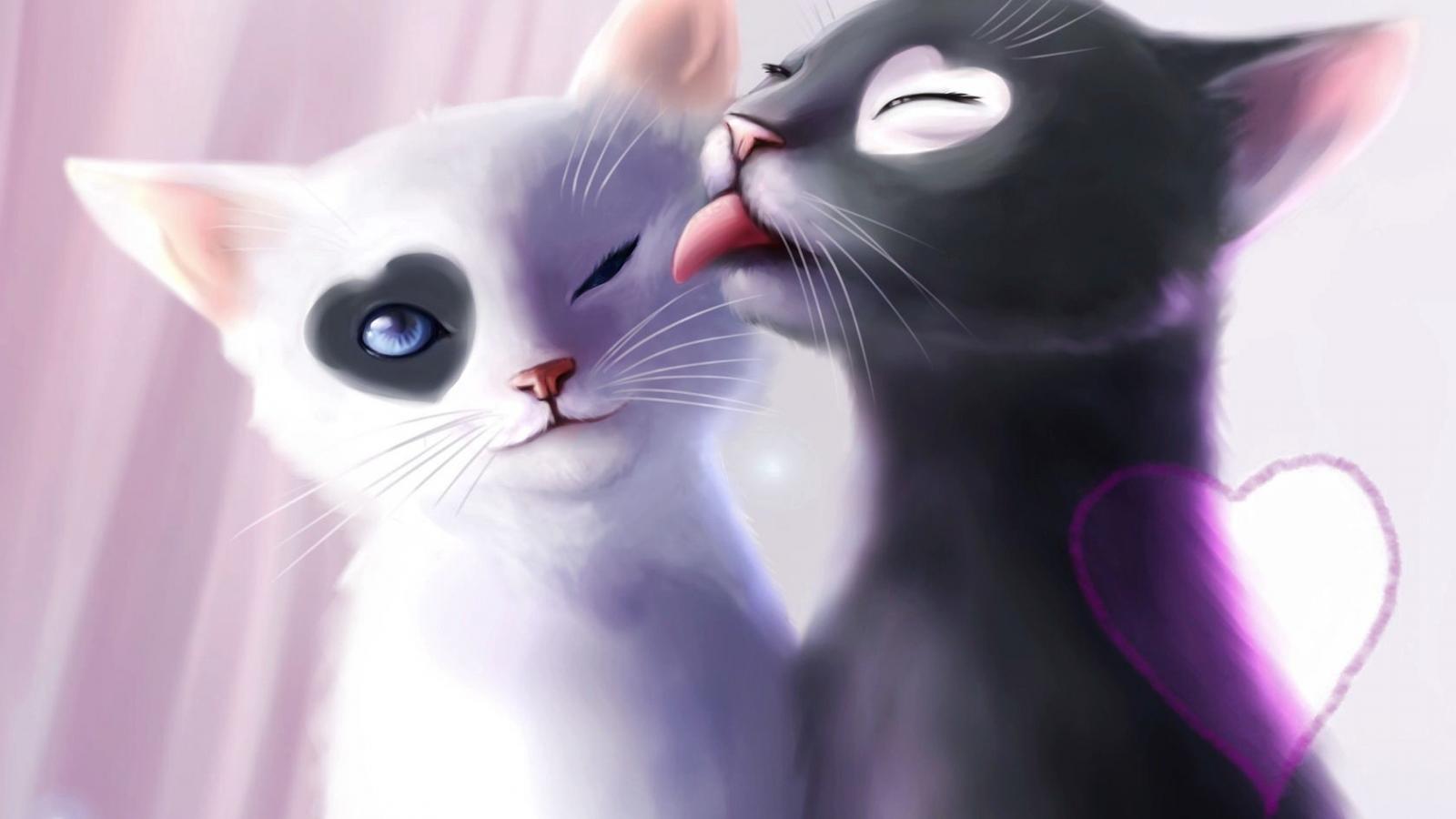 White Anime Cats Wallpapers - Top Free White Anime Cats Backgrounds