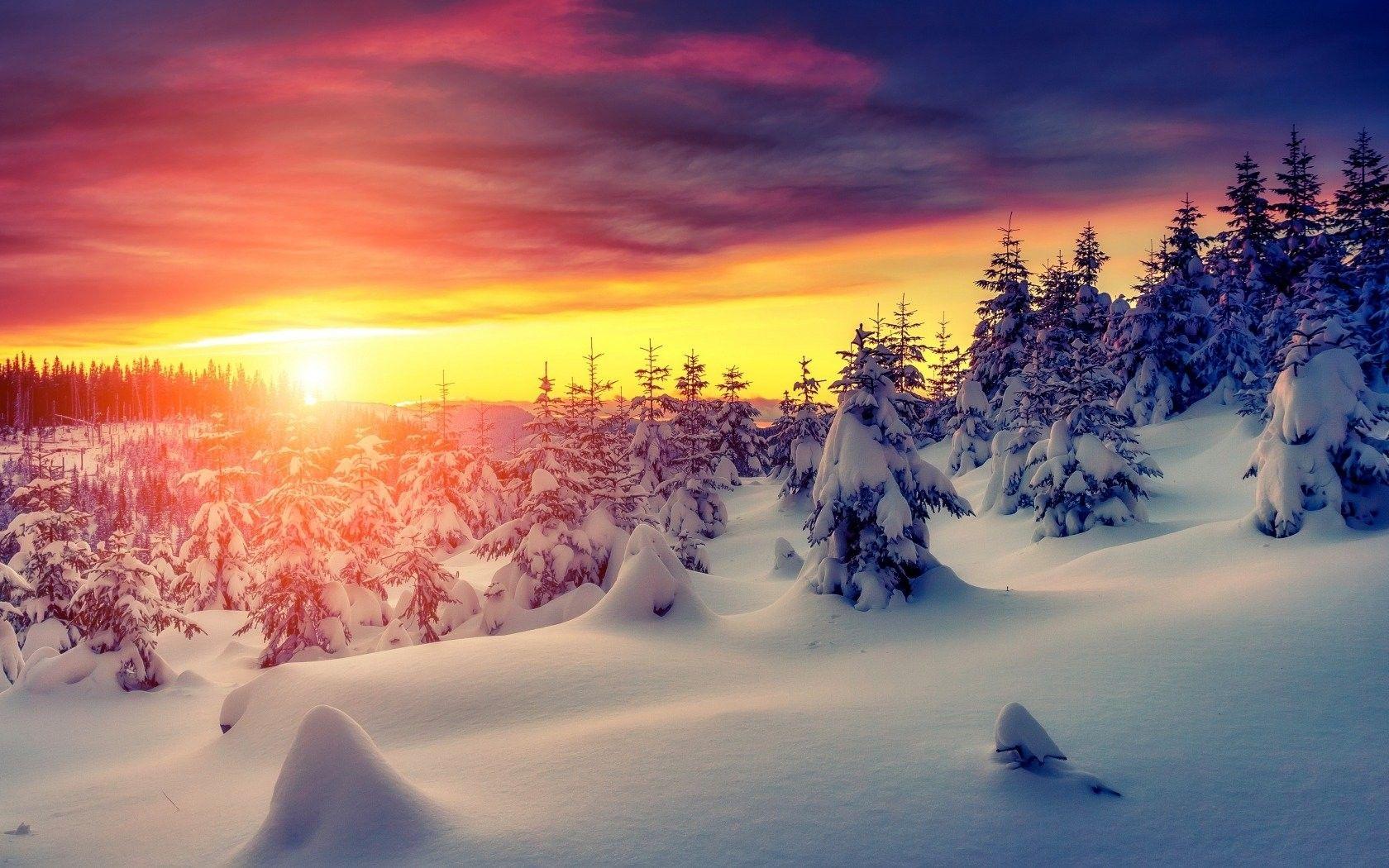 1680x1050 HD Nature Wallpaper, Forest, Forest, Trees, Pure, Picture, Best