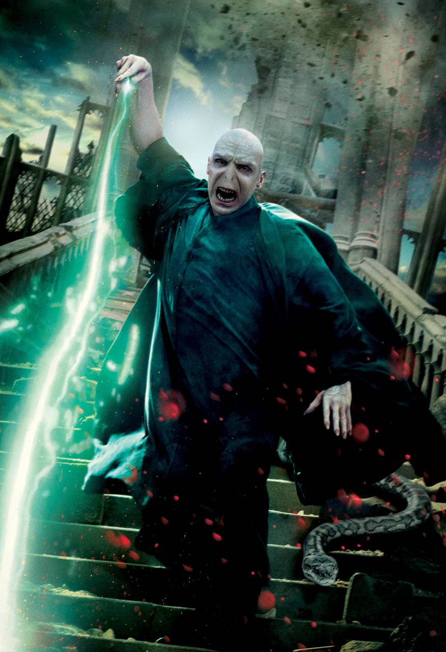 Harry Vs Voldemort Wallpapers - Top Free Harry Vs Voldemort Backgrounds ...