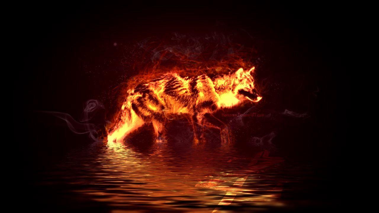 1280x720 Fire Wolf Wallpaper Lovely Fire Wolf Vs Ice Wolf Wallpaper