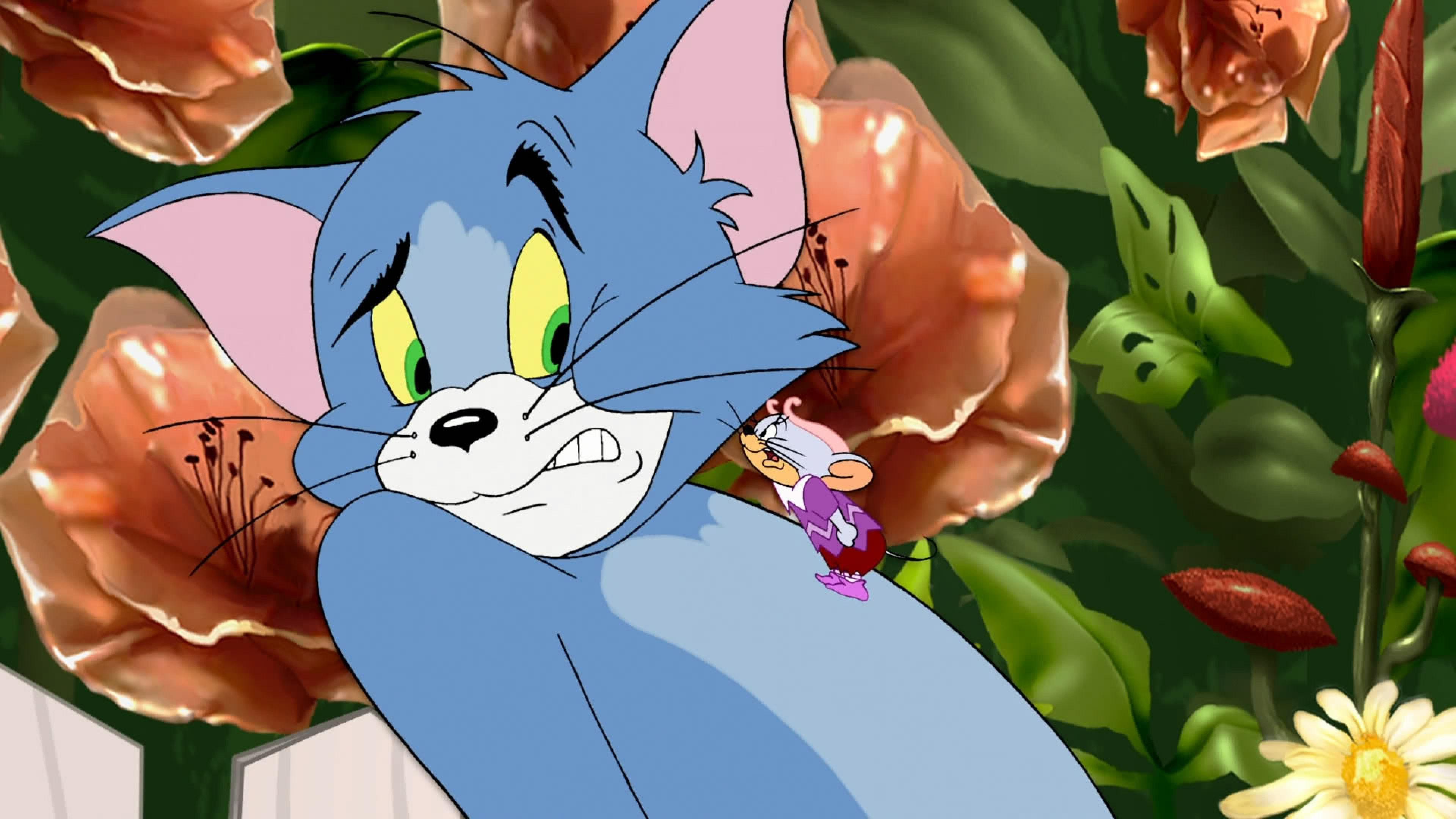 Том и джерри том милый. Tom and Jerry. Том и Джерри том 1963. Tom and Jerry cartoon. Мышонок Джерри.