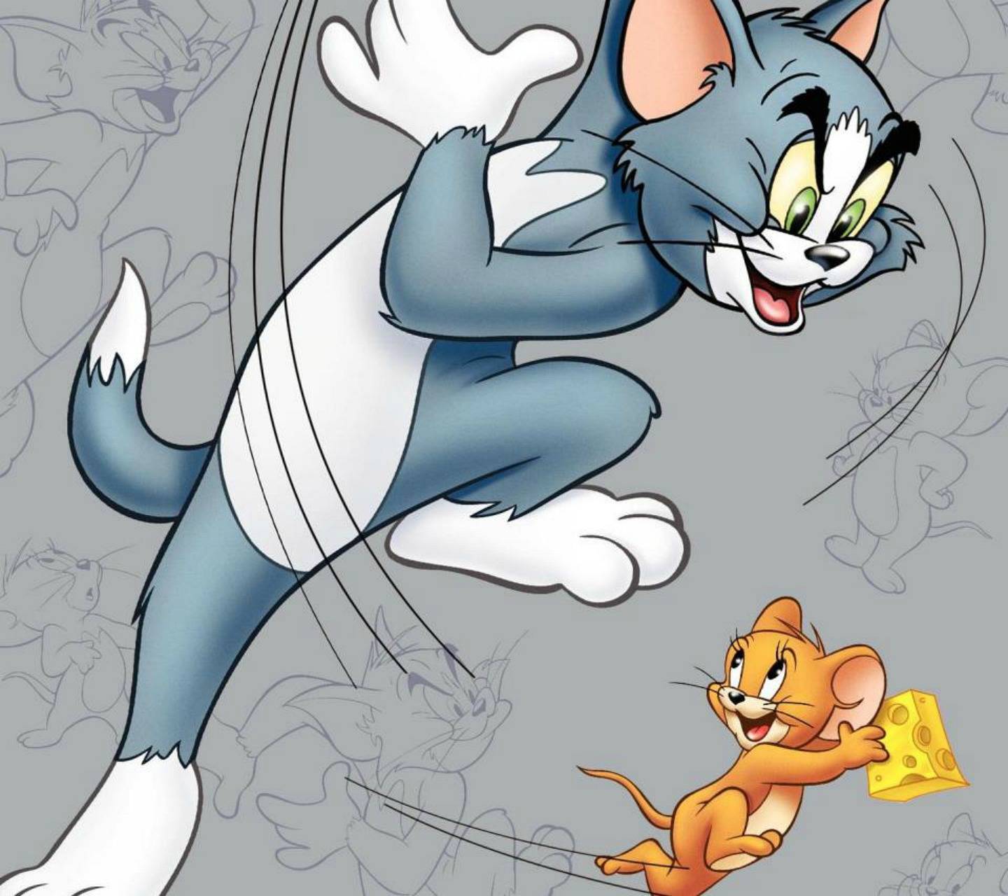 1440x1280 Tom N Jerry HD wallpaper