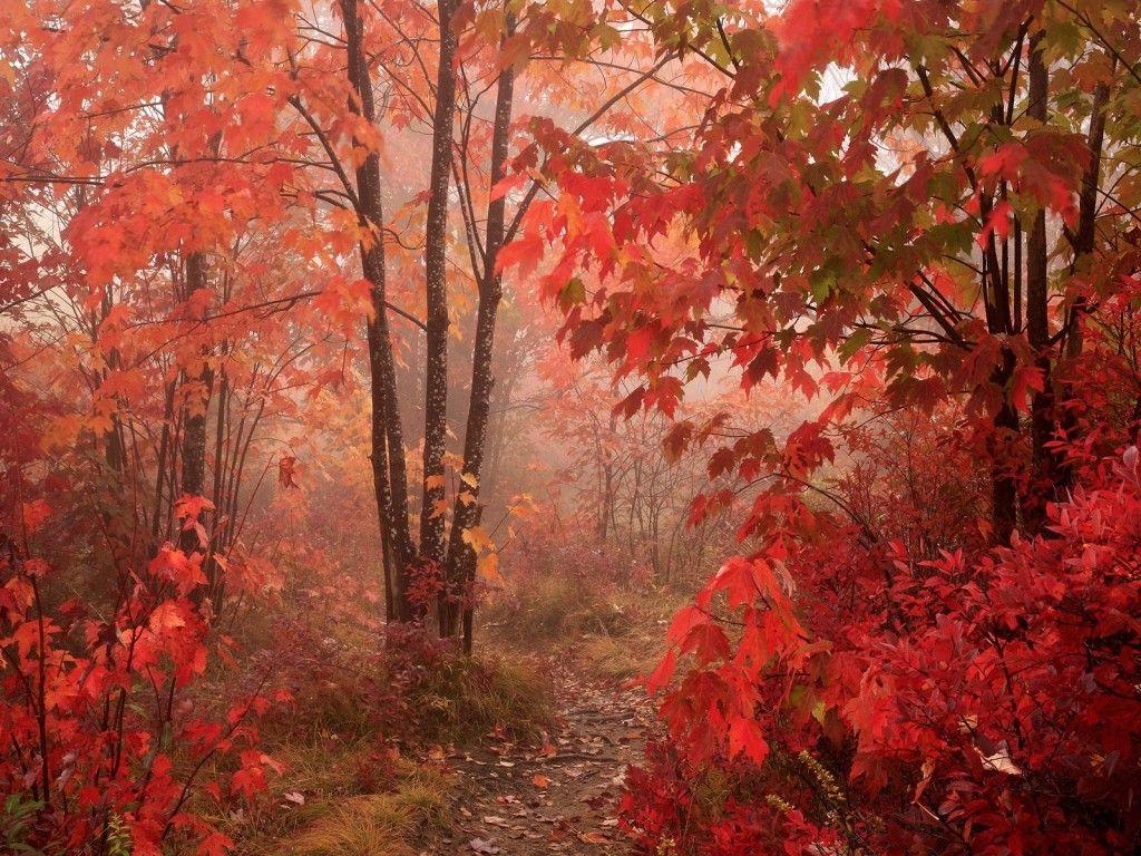 6400 Koleksi Romantic Nature Hd Wallpaper Gratis 6400 Koleksi Romantic Nature Hd Wallpaper Gratis
