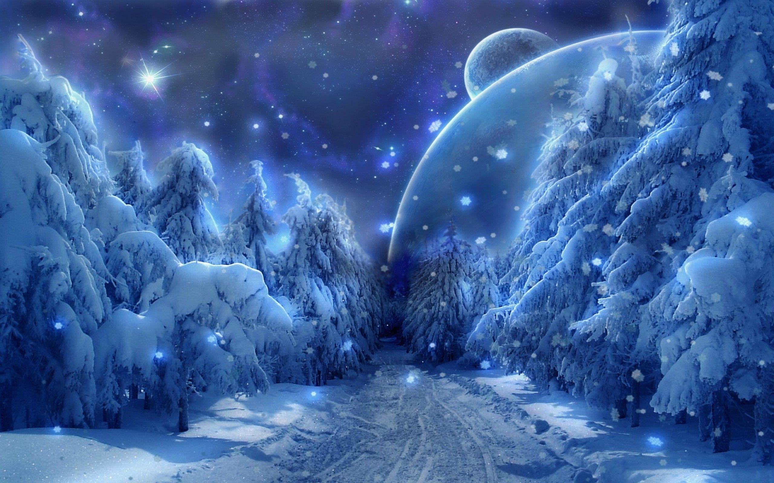 2560x1600 Winter: Christmas Dazzling Earth Xmas New Year Winter Holidays Trees