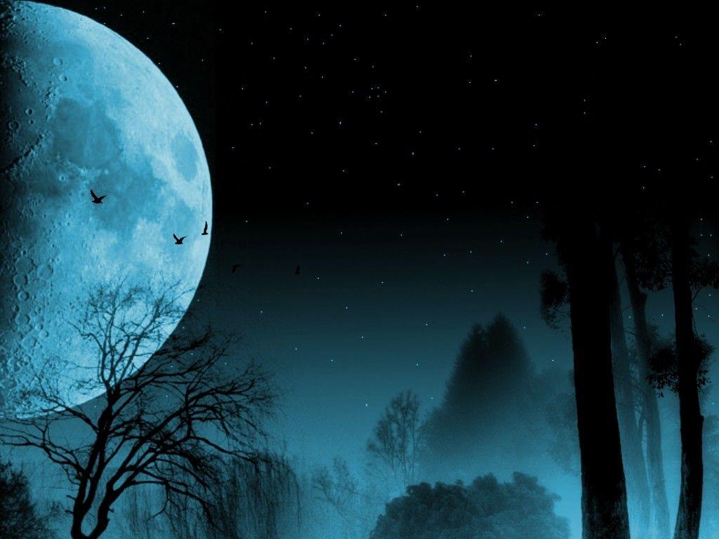 1024x768 Forest: Twilight Wolf Peaceful Peace Birds Wonderful Tranquility