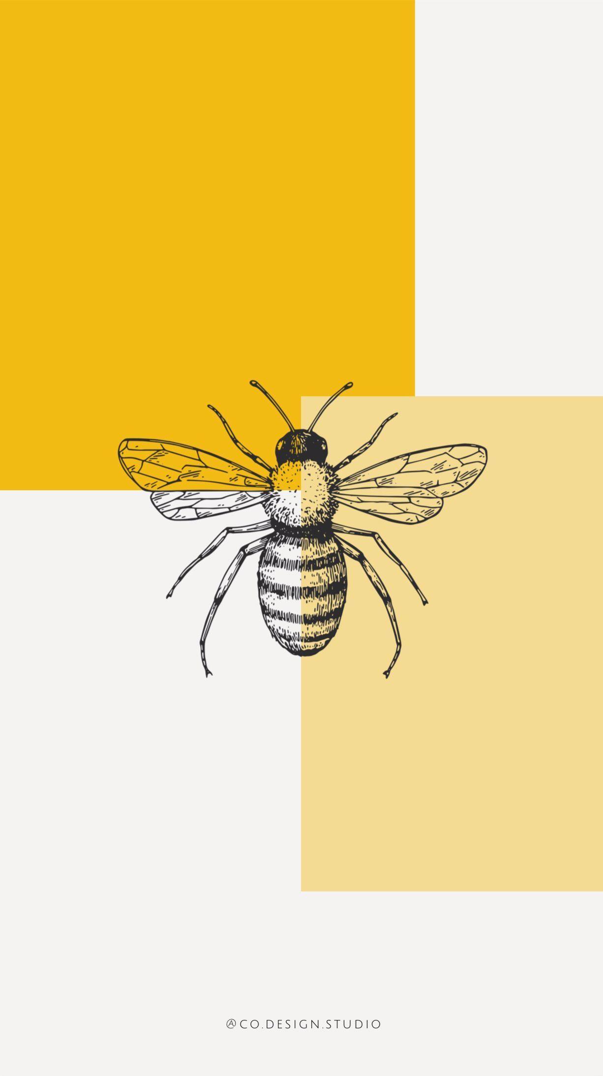 Bee Patterns Aesthetic Cute Bee Wallpaper - jing-zheng09