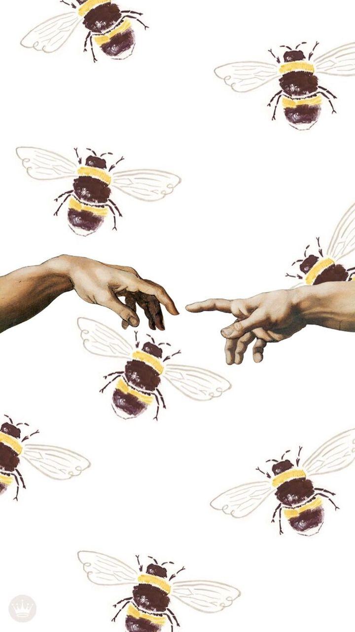 HD aesthetic bee wallpapers  Peakpx