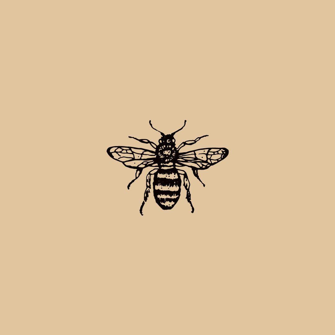 vintage bee drawing