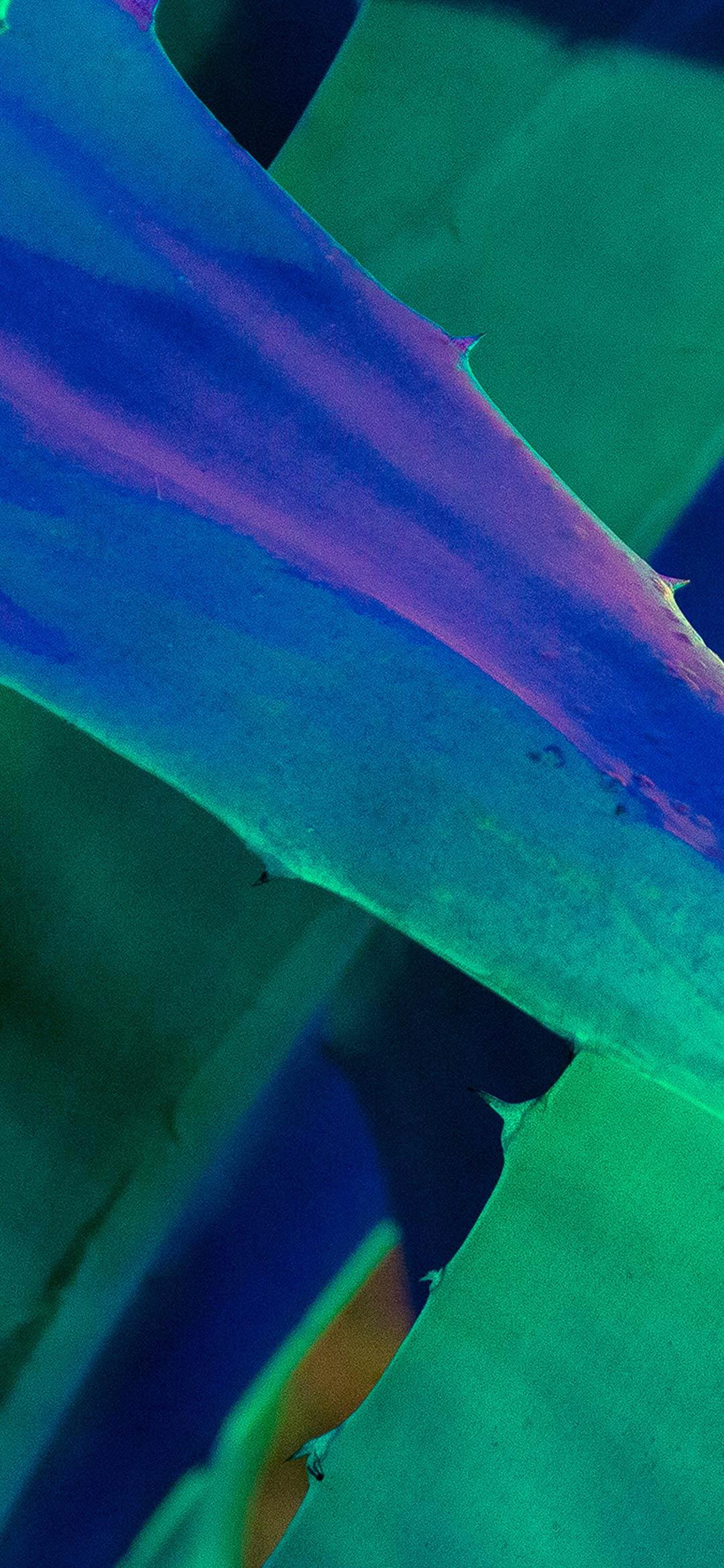 1080x2340 Xiaomi Mi9 Wallpaper Full HD, Download Wallpaper