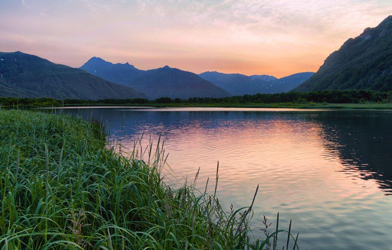 1332x850 Wallpaper forest, trees, sunset, mountains, river, the reeds