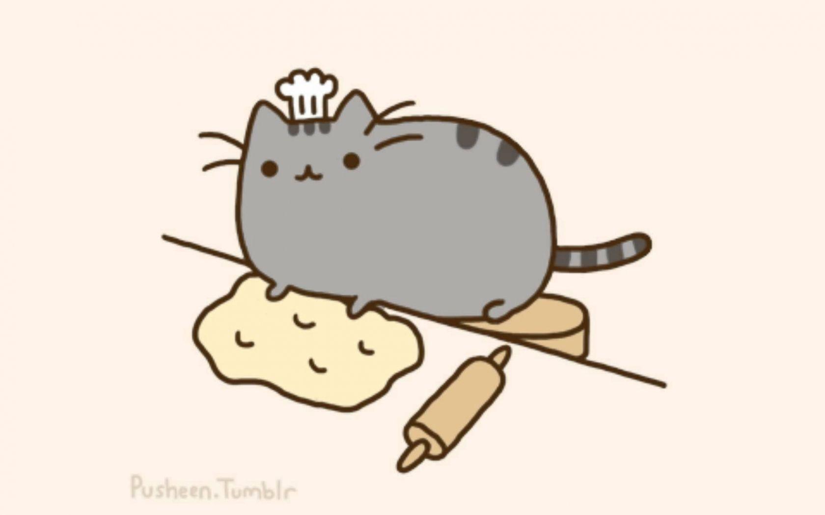 1680x1050 Free download Pusheen The Cat Background Image Picture Becuo