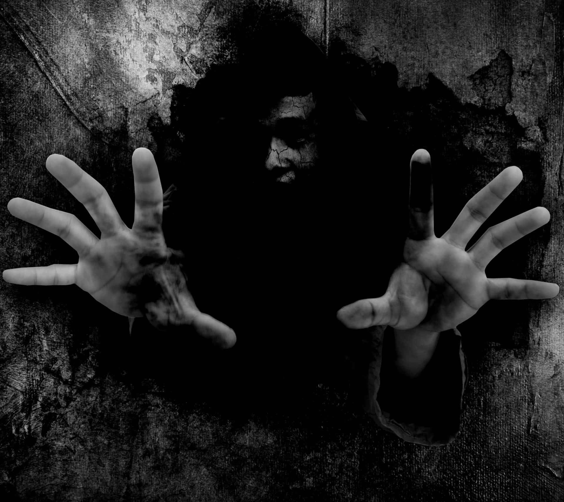 1920x1707 Download Sinister Forest Scene Wallpaper