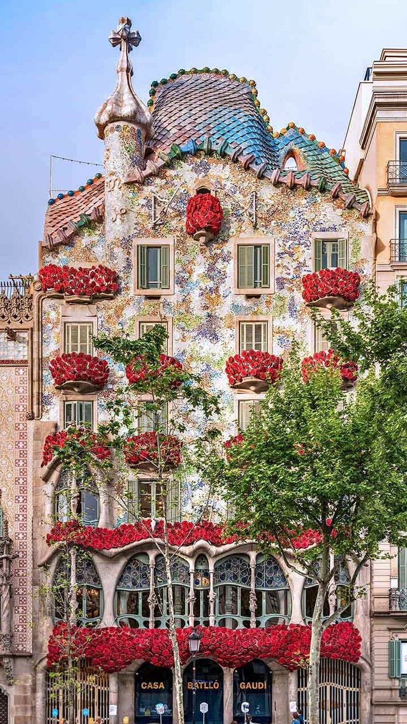800x1422 Casa Batllo, church, darcelona, day, haunted, home, mansion, portugal, sant jordi, HD phone wallpaper