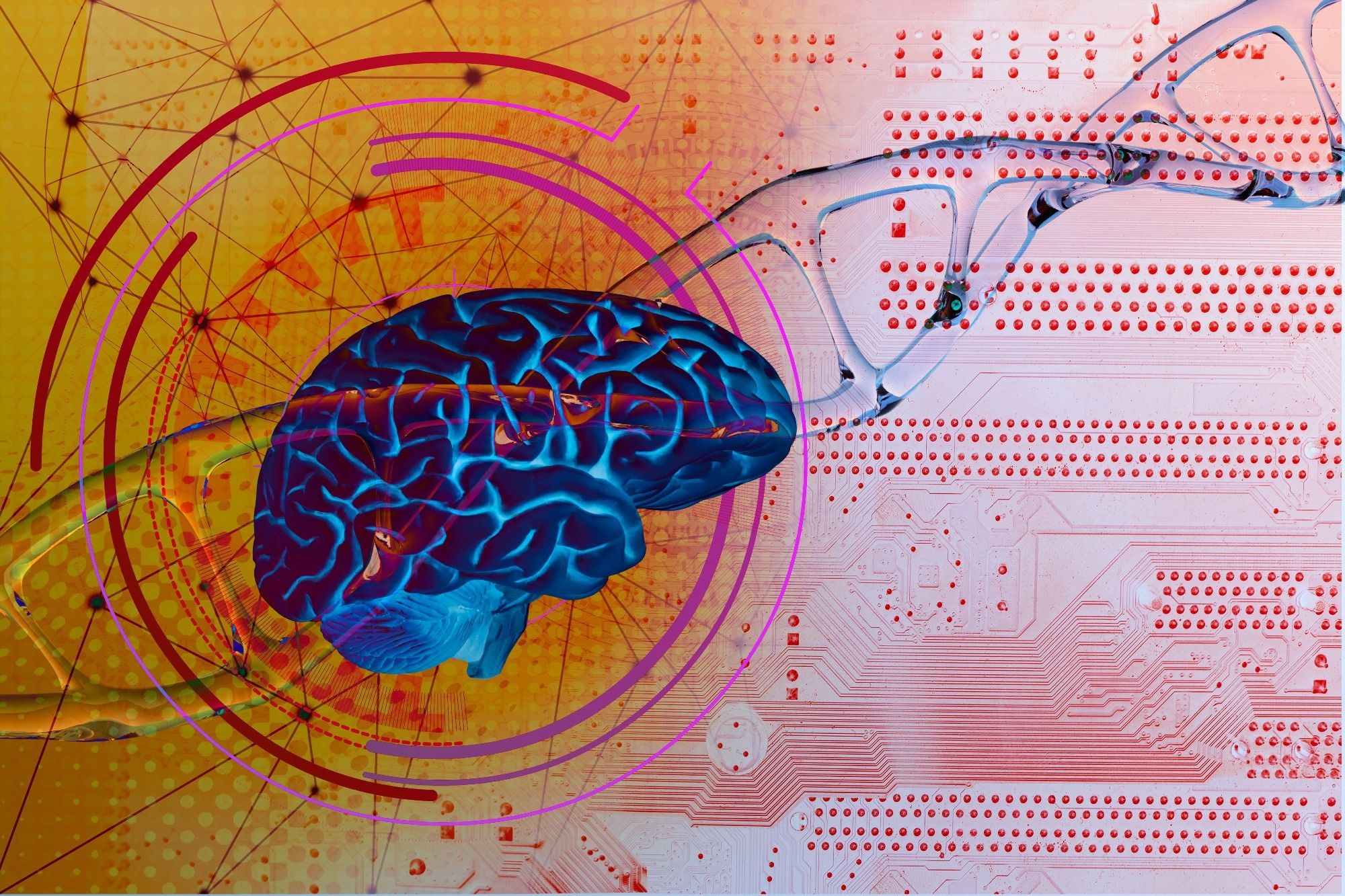 2000x1333 Can Neuroplasticity Be Hacked? Exploring the Limits