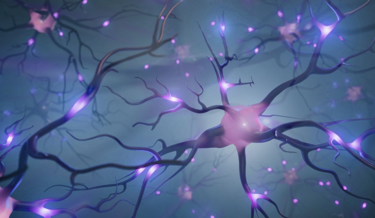 1200x700 Understand How Neuroplasticity Can Do Wonders & improve Ability