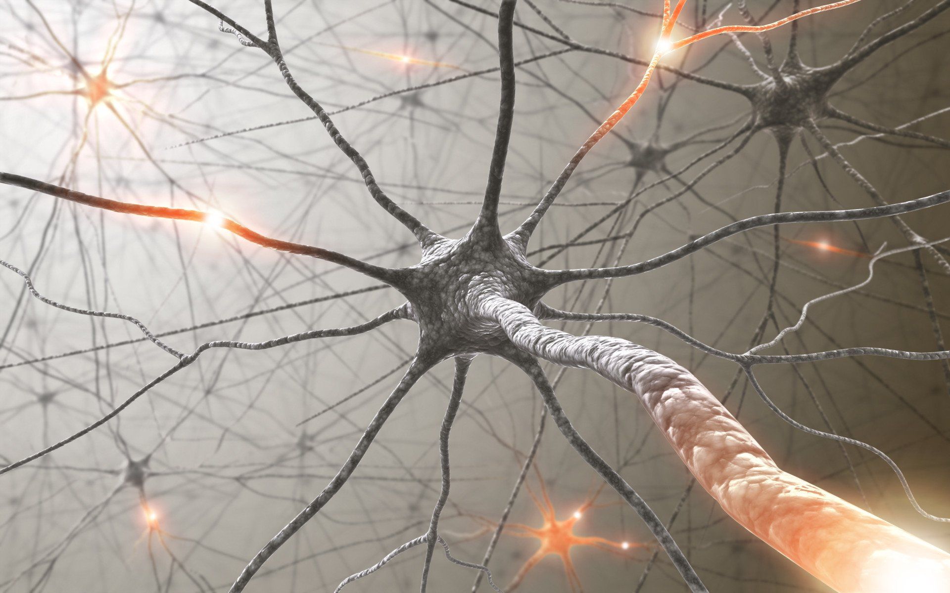 1920x1200 Brain Plasticity In Psychology