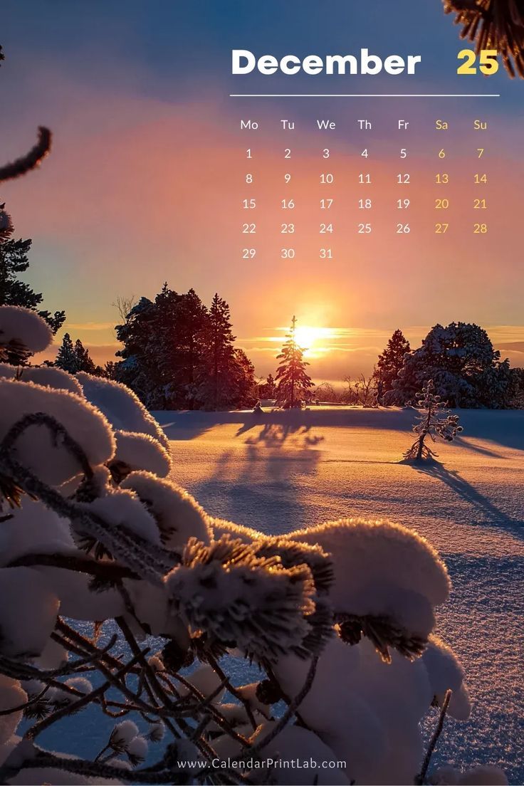 736x1104 iPhone 2025 Calendar Wallpaper in HD Download