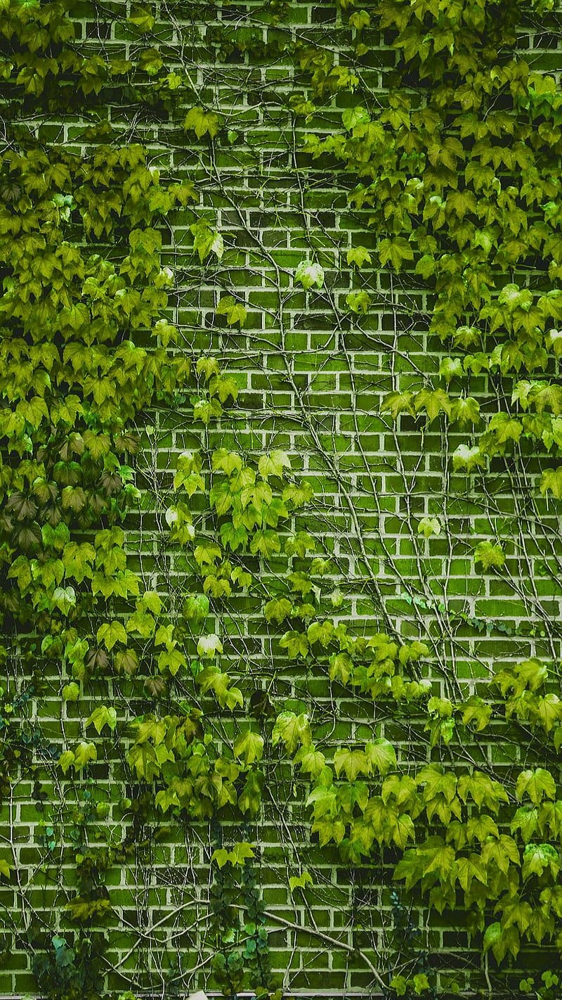 800x1422 HD green brick wall wallpaper