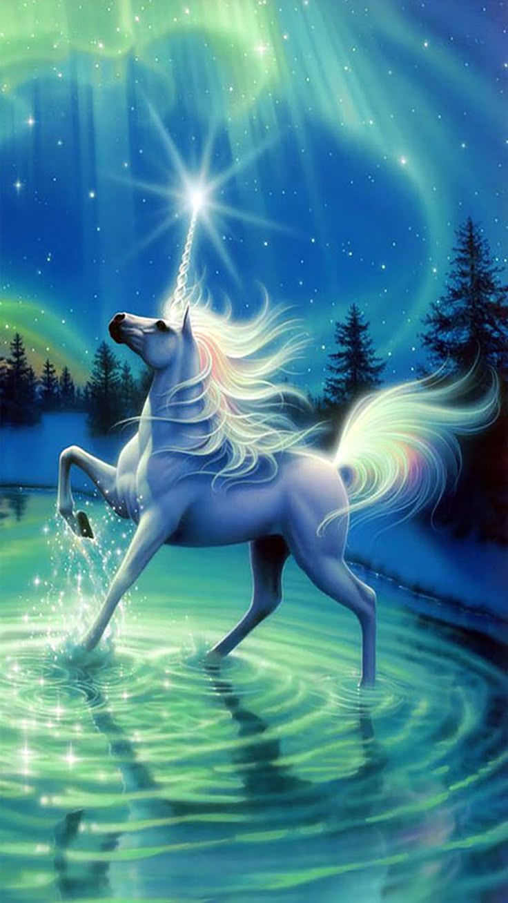 736x1308 Unicorn / Pegasus Wallpaper. Unicorn and fairies, Unicorn picture, Magical horses