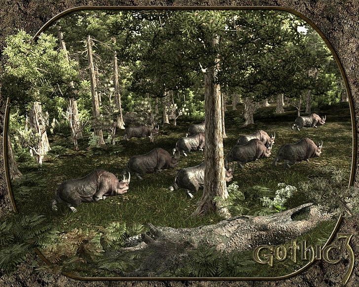 728x582 Gothic 3 1080P, 2K, 4K, 5K HD wallpaper free download