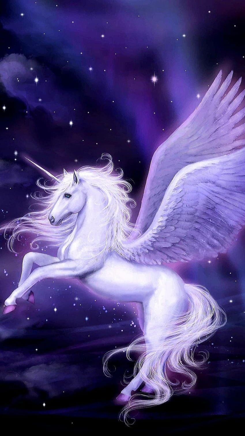 850x1511 Unicorn Pegasus HD phone wallpaper