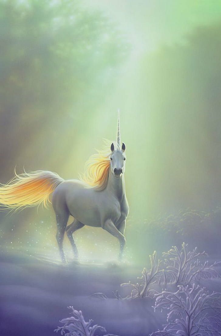 728x1103 HD wallpaper: fantasy, horse, pegasus, unicorn