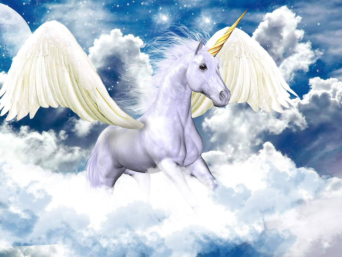 1200x900 Unicorn Pegasus and Unicorn Photo Wallpaper : Amazon.com.be: Tools & Home Improvement