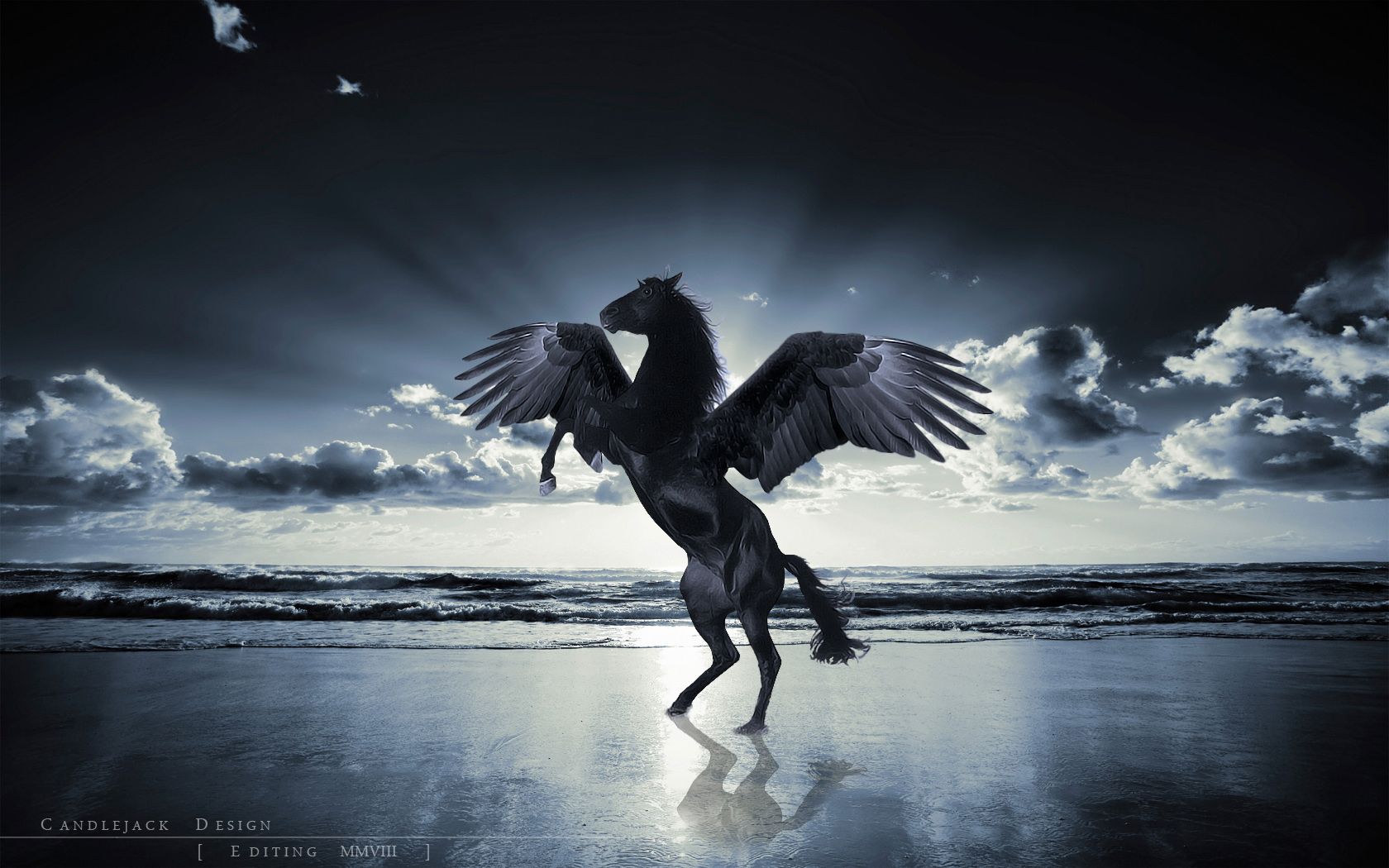 1680x1050 unicorn, Horse, Magical, Animal, Pegasus, Ocean, Beach Wallpaper HD / Desktop and Mobile Background