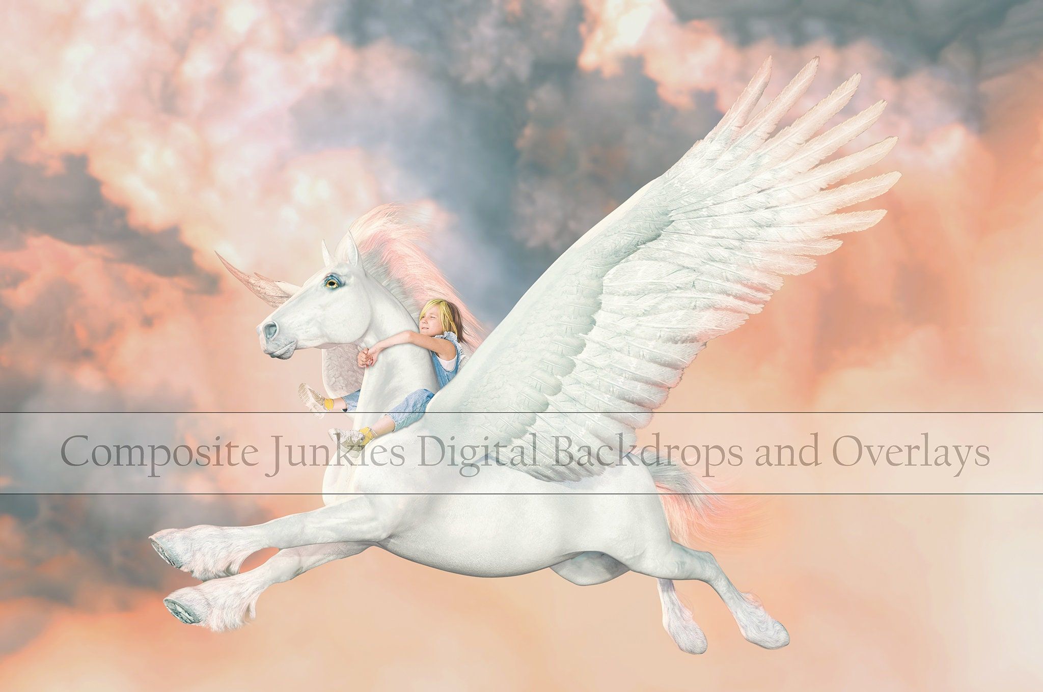 2048x1359 Pegasus Digital Backdrop for Composite Image, Mythical Creature Digital Backdrop Background, Magical Backdrop, Composite Image