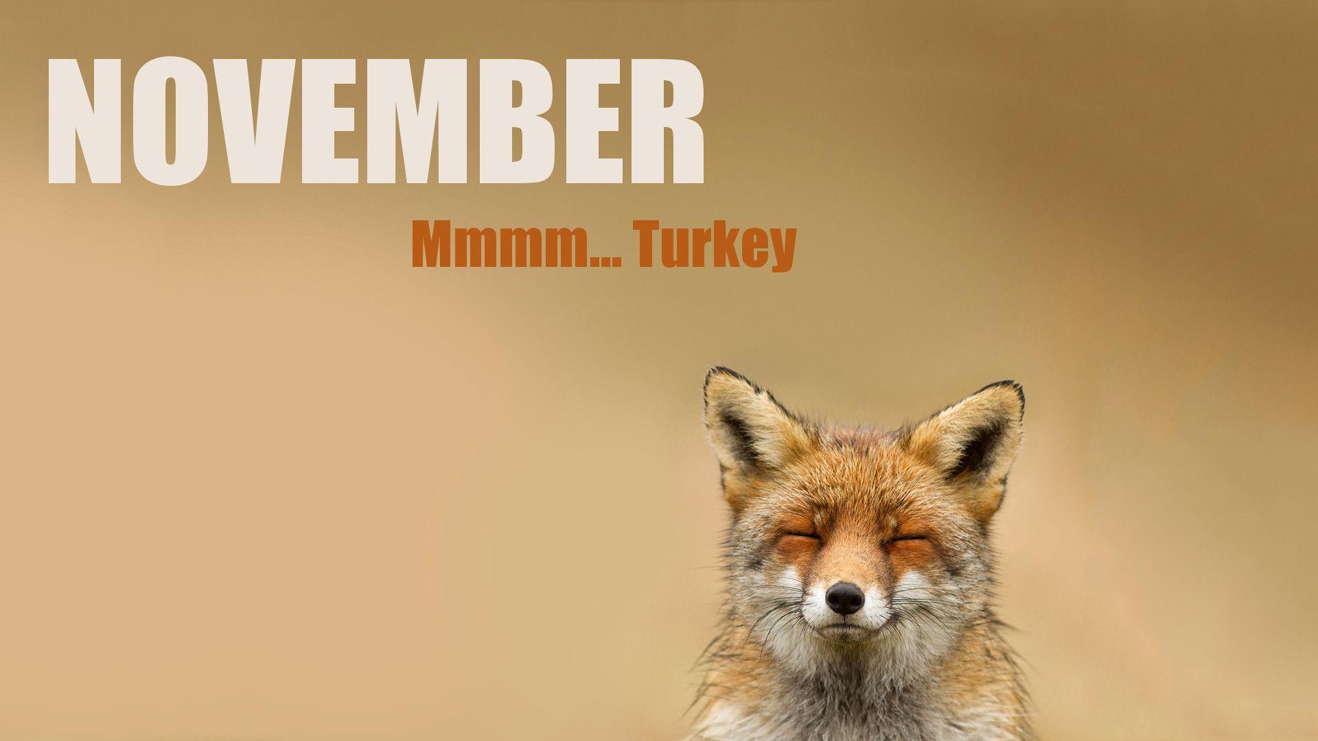 1920x1080 cool thanksgiving wallpaper funny quotes free HD wallpaper