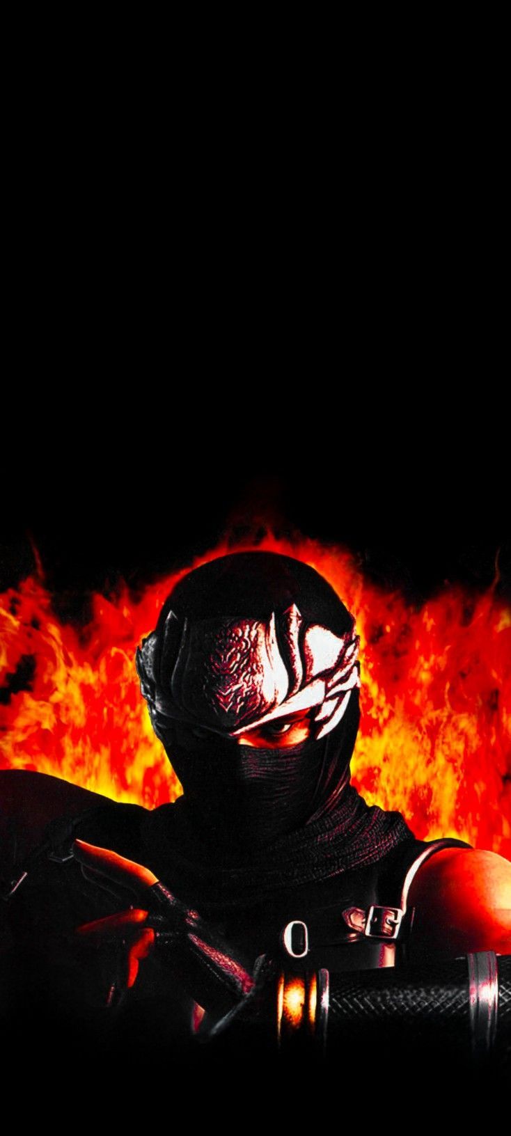 734x1632 Ninja Gaiden Black Wallpaper