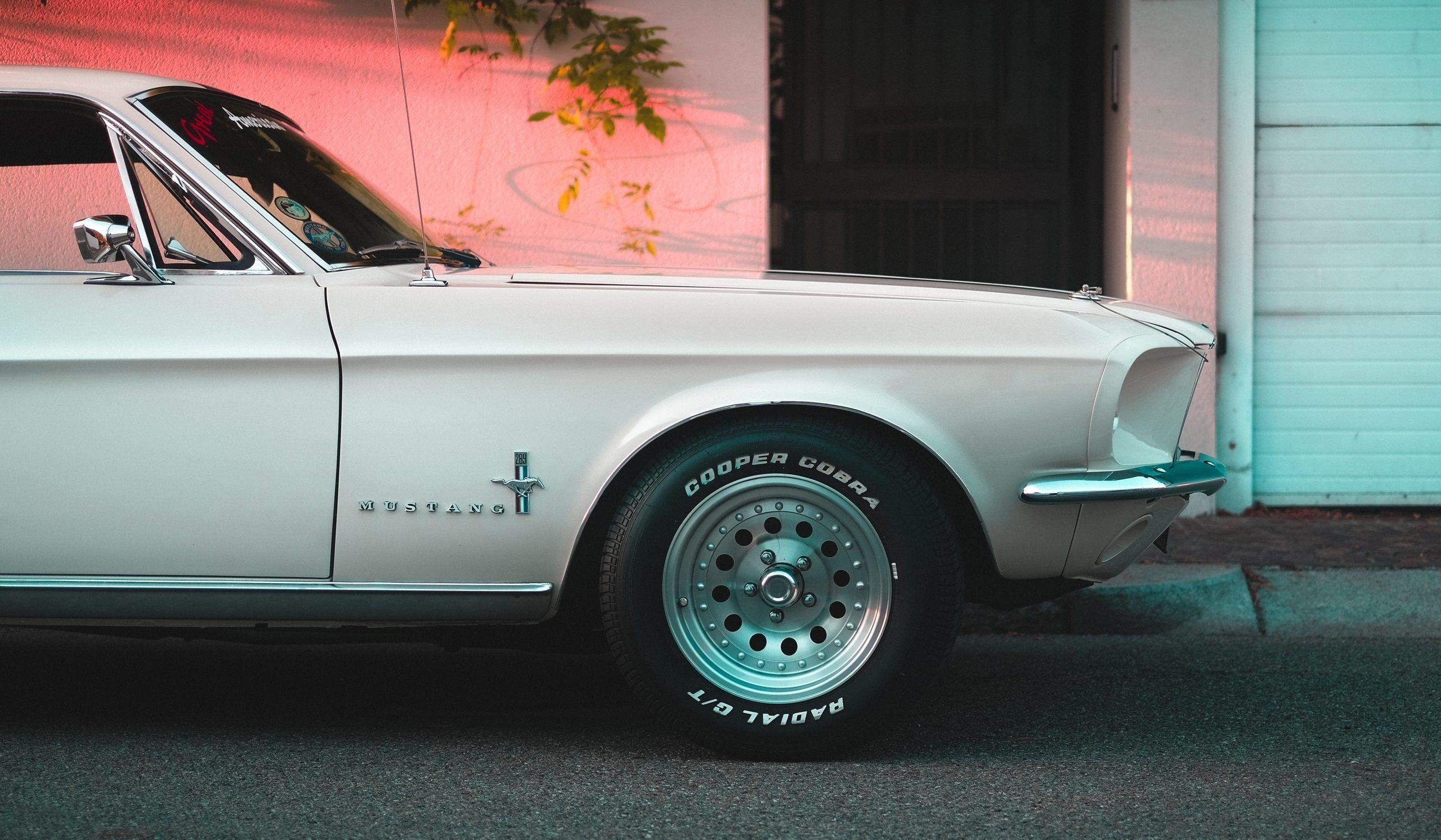 2560x1493 mustang 4K wallpaper for your desktop or mobile screen free