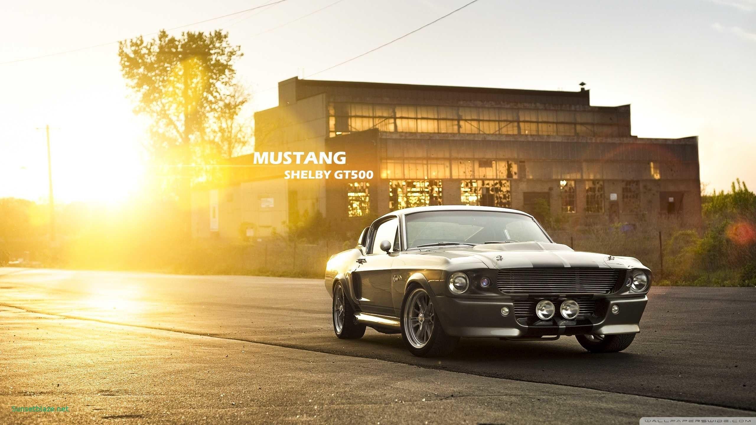 2560x1440 Classic Muscle Car Wallpaper