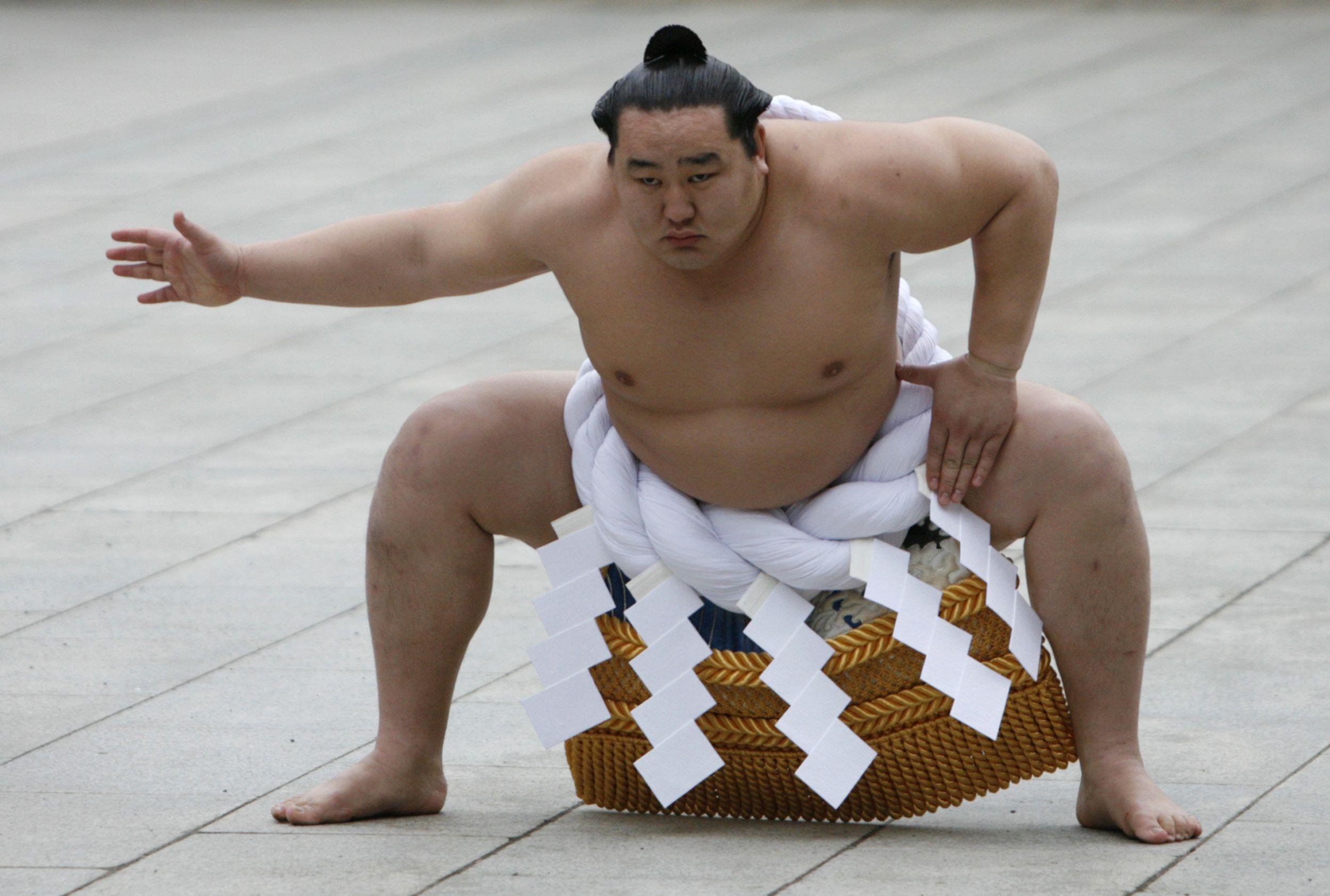 Sumo Wrestler High Quality, sumo wrestlers HD wallpaper | Pxfuel