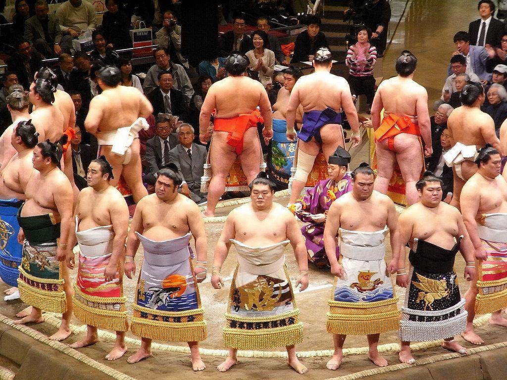 1024x768 Sumo Wallpaper